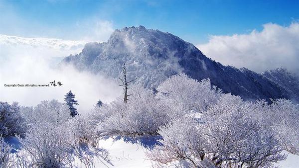 22-thang-canh-dep-me-hon-o-han-quoc-nui-taebaeksan