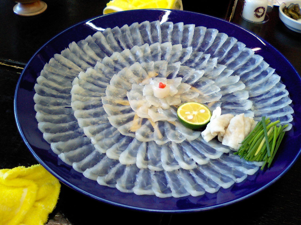 ca-noc-fugu-nhat-ban