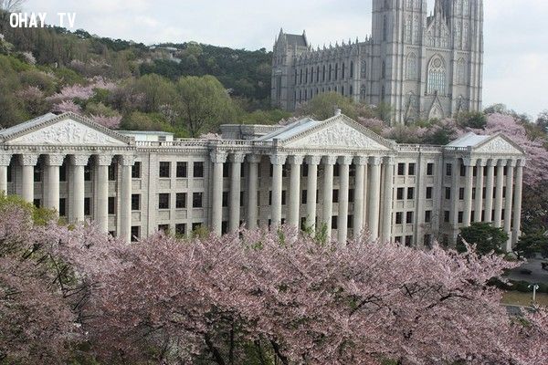 dai-hoc-tong-hop-kyung-hee