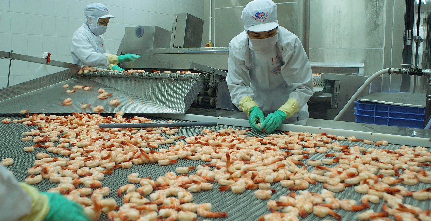 T9/2017 – Tuyển 06 nữ đơn hàng Chế biến thủy sản làm việc tại tỉnh Ehime, Nhật Bản