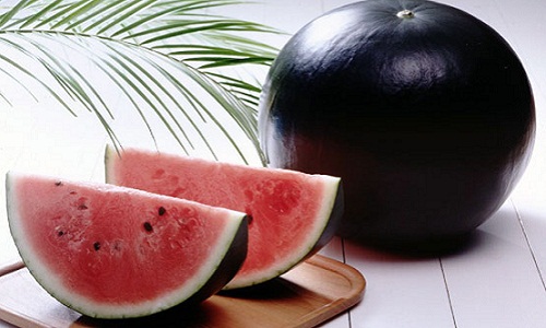 dua-hau-den-nhat-ban