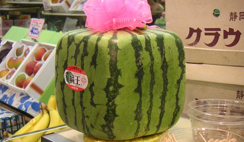 dua-hau-vuong-nhat-ban