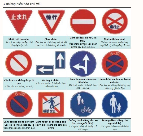 huong-dan-chi-tiet-cach-doi-bang-lai-xa-viet-nam-sang-bang-nhat-1