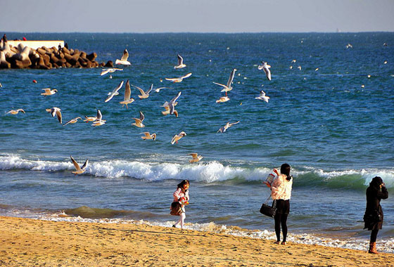 nhung-diem-den-ly-tuong-vao-mua-he-o-han-quoc-bai-bien-haeundae