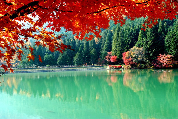 nhung-diem-den-ly-tuong-vao-mua-he-o-han-quoc-dao-nami