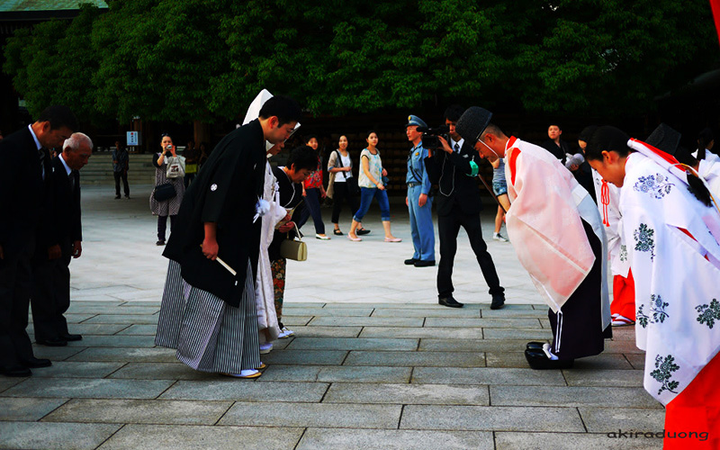 van-hoa-chao-hoi-cua-nguoi-han-quoc