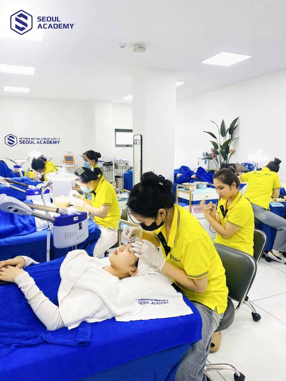 Seoul Academy đào tạo lĩnh vực spa với lộ trình bài bản, chuyên nghiệp